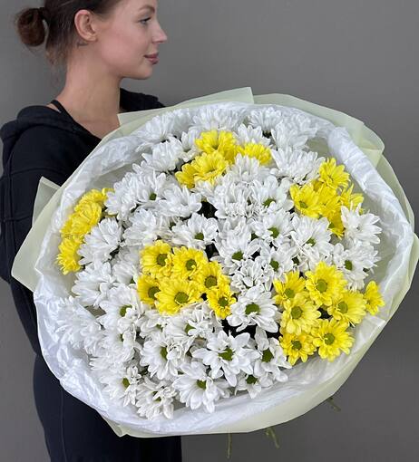 Букет из 15 ромашковых хризантем бело-желтых