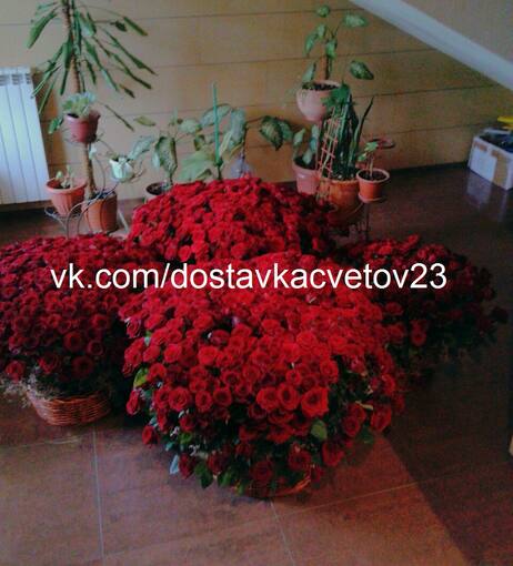 Букет из 1001 розы