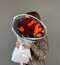 25 кенийских роз яркий микс — фото 1 25 кенийских роз яркий микс — фото 1
