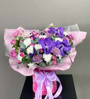 Летние ночи
